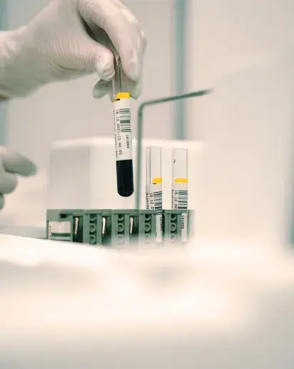 Terapia erregeneratiboak